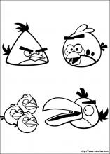 Les angry birds