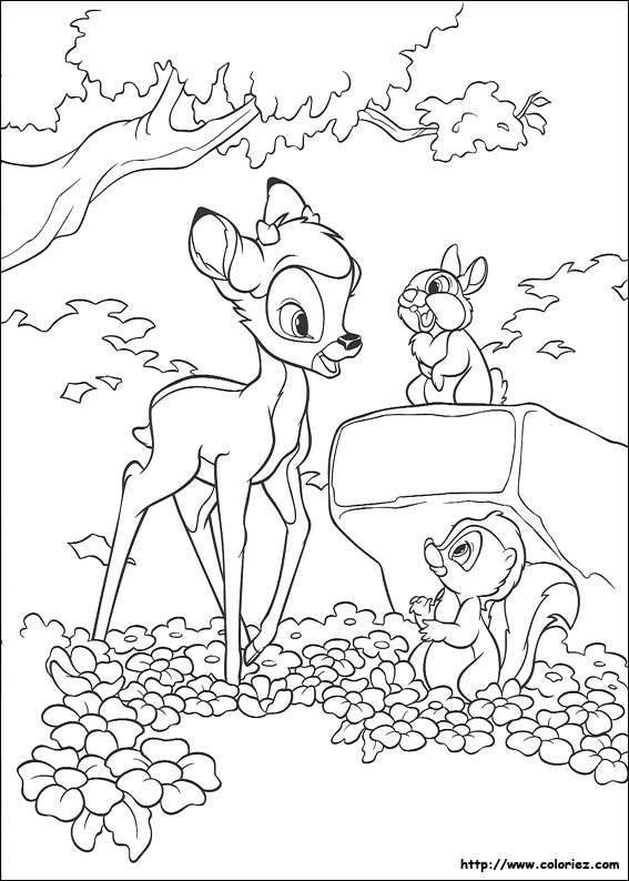 Coloriage des premiers bois de Bambi