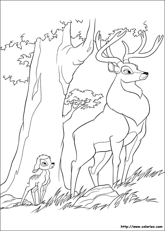 Coloriage de Bambi admiratif