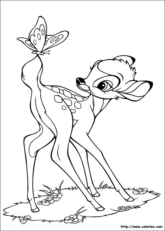 Bambi et le papillon