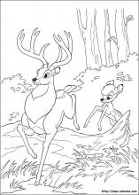 Coloriage de Bambi qui imite son père