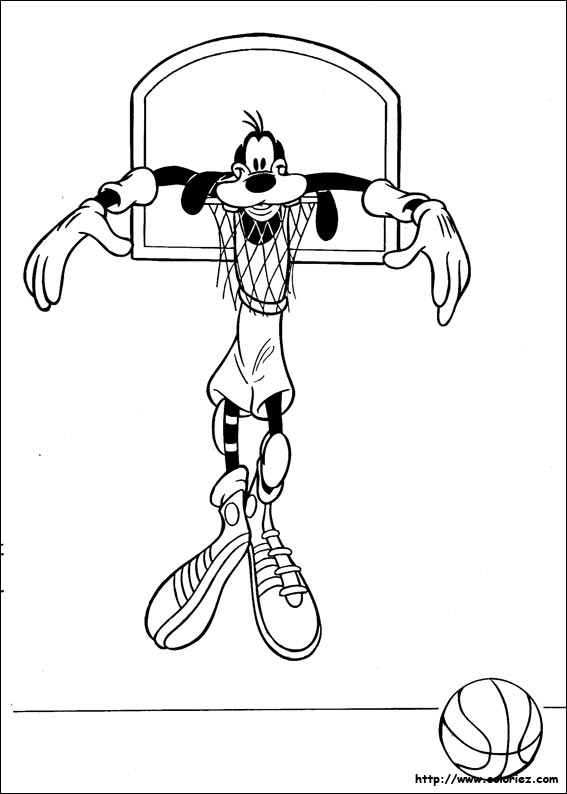 Dingo crucifié au panier