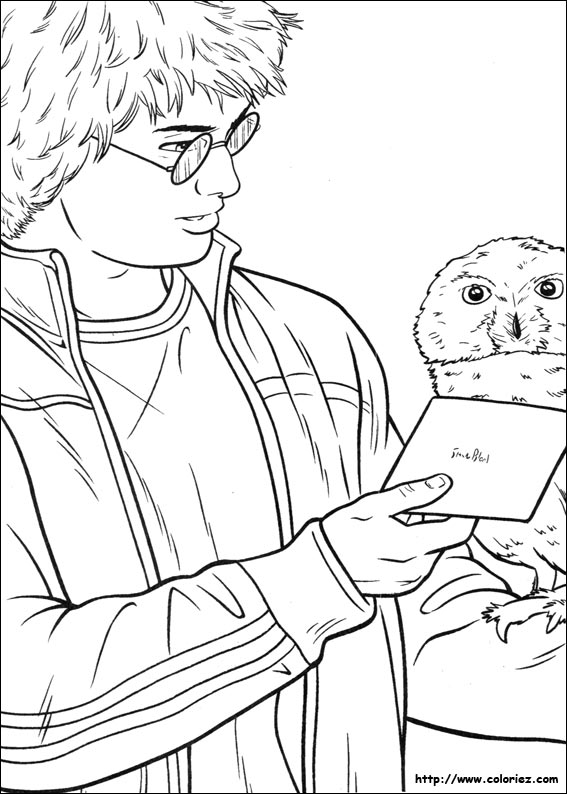 Coloriage d'Hedwig