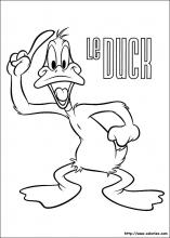 Coloriage de Daffy Duck