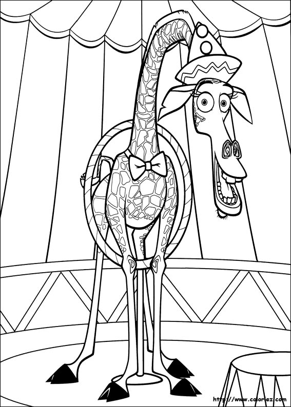 madagascar 3 circus coloring pages - photo #21