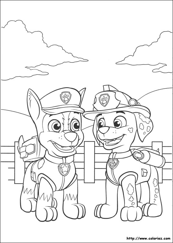 Coloriage Marshall And Rocky Of Pat Patrouille Dessin Pat
