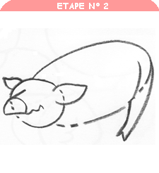 apprendre à dessiner un cochon