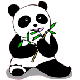 Je dessine les pandas