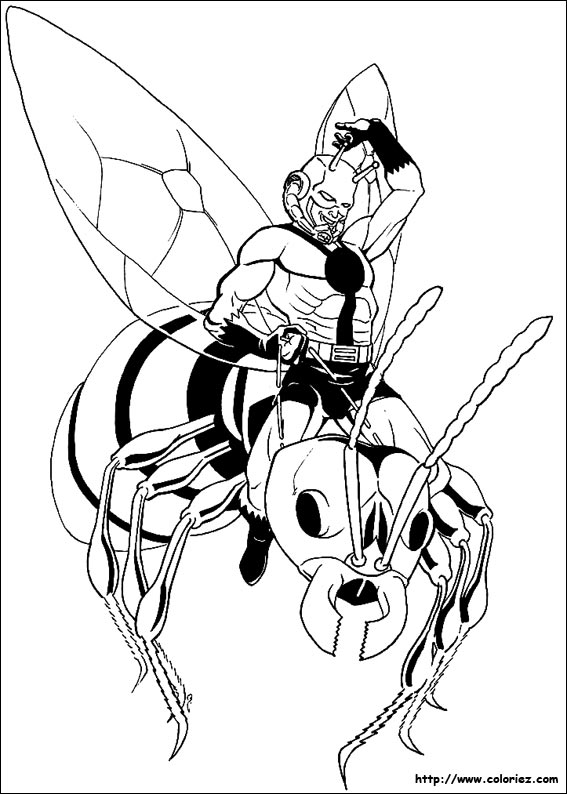 Ant Man à dos de mouche