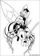 Ant Man à dos de mouche