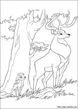 Coloriage de Bambi admiratif