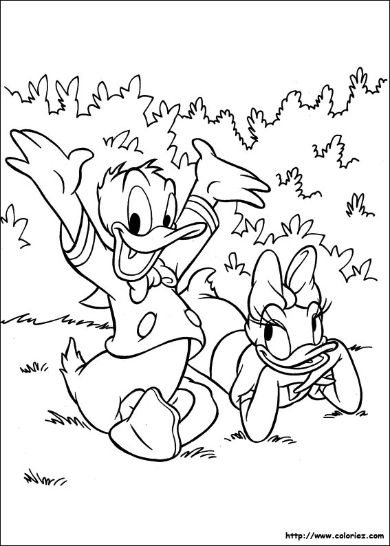 Donald et Daisy à la campagne