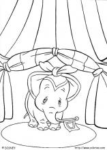 Dumbo en scène