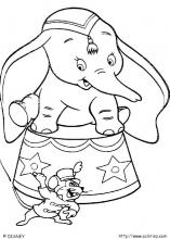 Dumbo la star du cirque