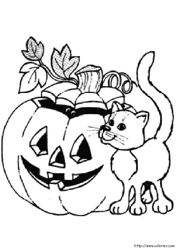 Coloriage Une Citrouille D Halloween Et Un Chat