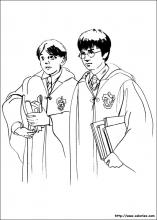Ron Weasley et Harry
