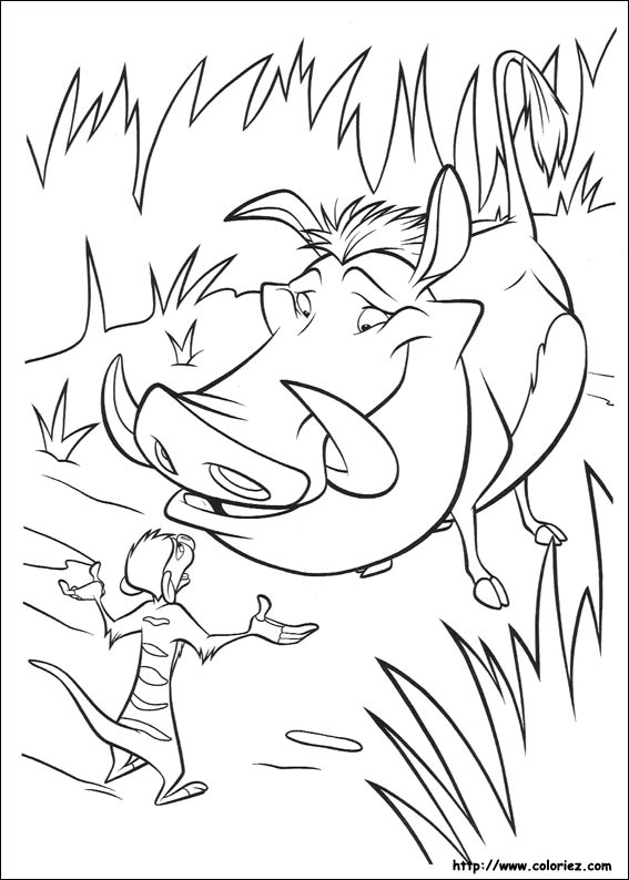 Timon face à Pumbaa