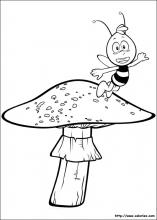 Willy et le champignon