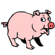 Je dessine les cochons